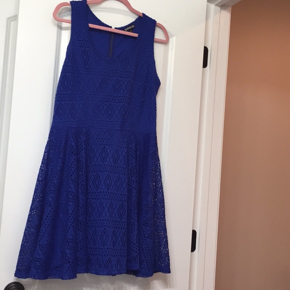 Royal blue lace skater dress with lining - Picture 3 of 8